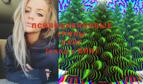 марки nbome Алзамай
