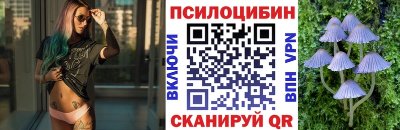 Галлюциногенные грибы Psilocybine cubensis  продажа наркотиков  Приморск 